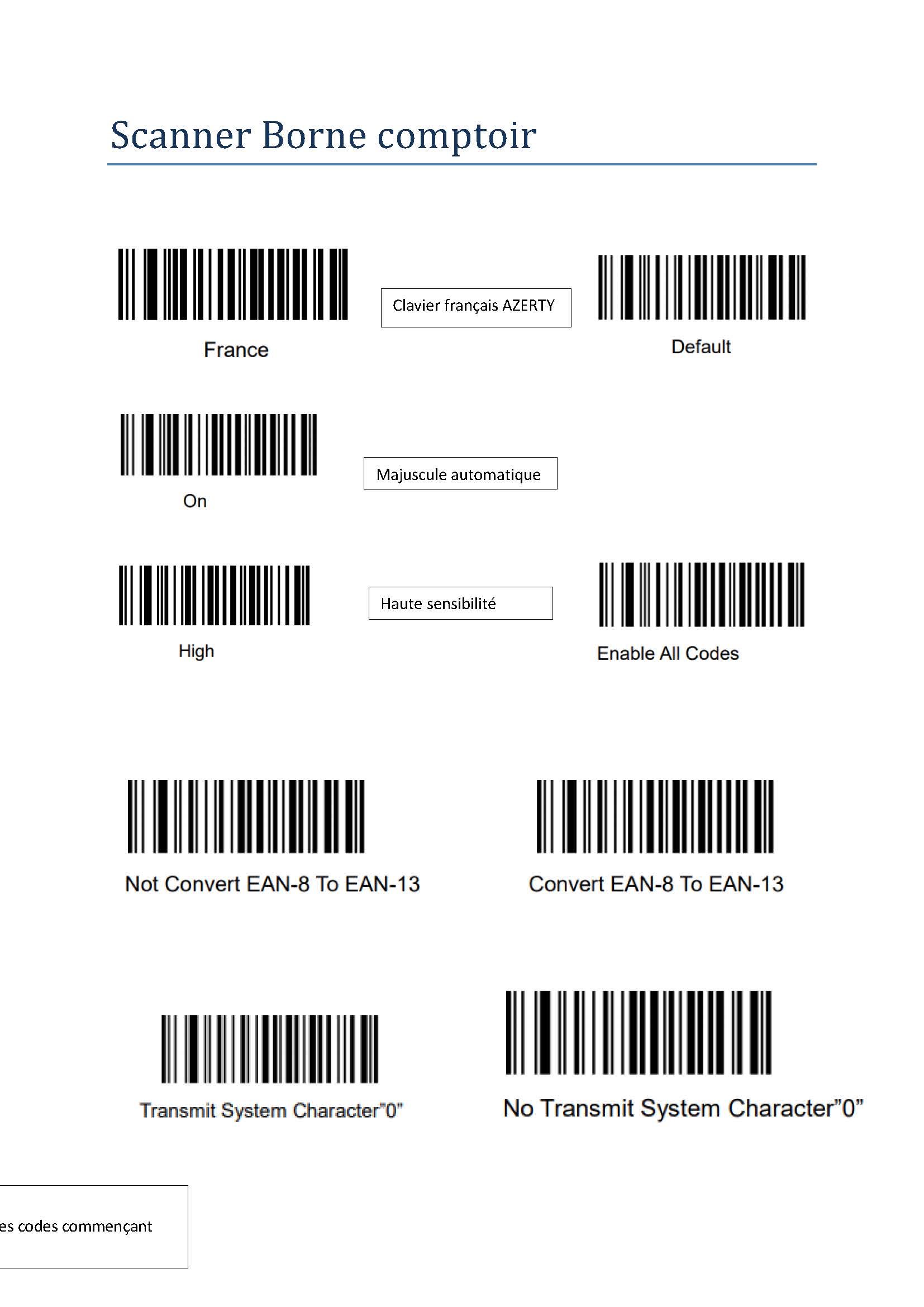 Scanner Borne_comptoir.jpg