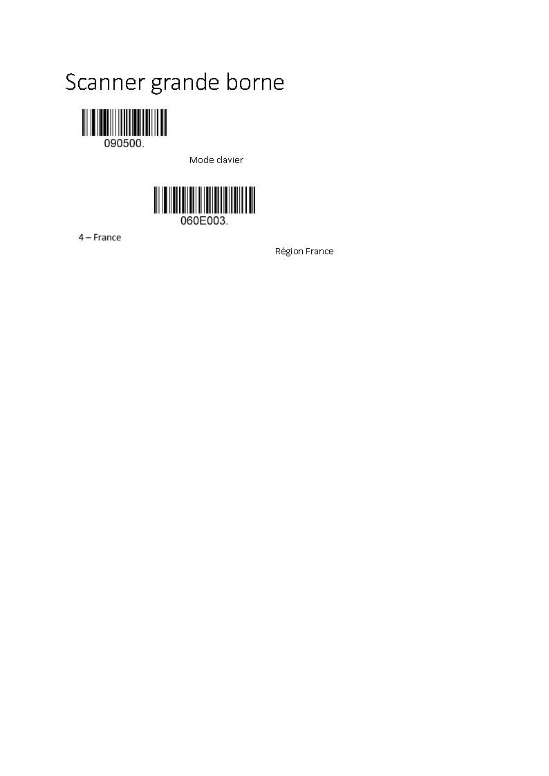 Scanner Grande_borne (Zonerich (ZBM) - ZQ-S2D23).jpg